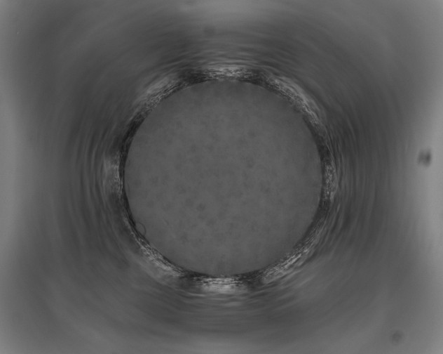 X0000096180377200801181317