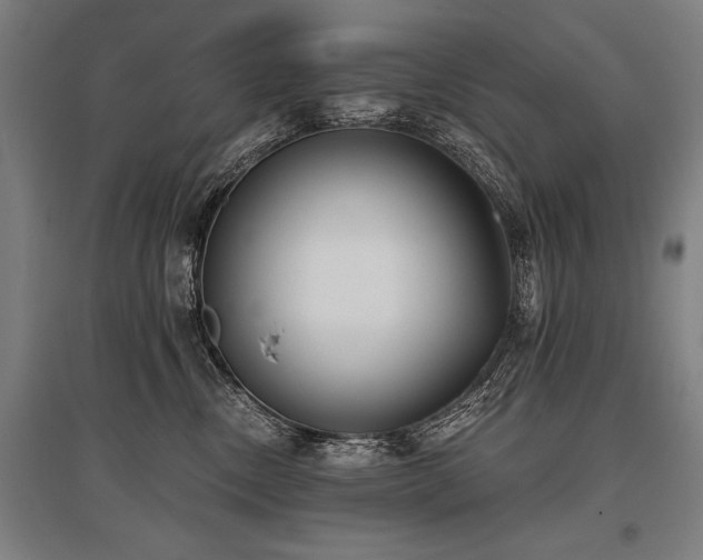 X0000096180378200801181317