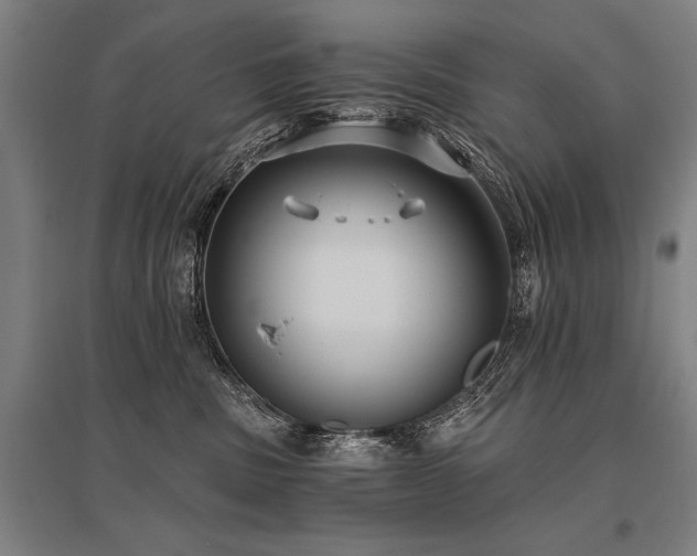 X0000096180379200801181317