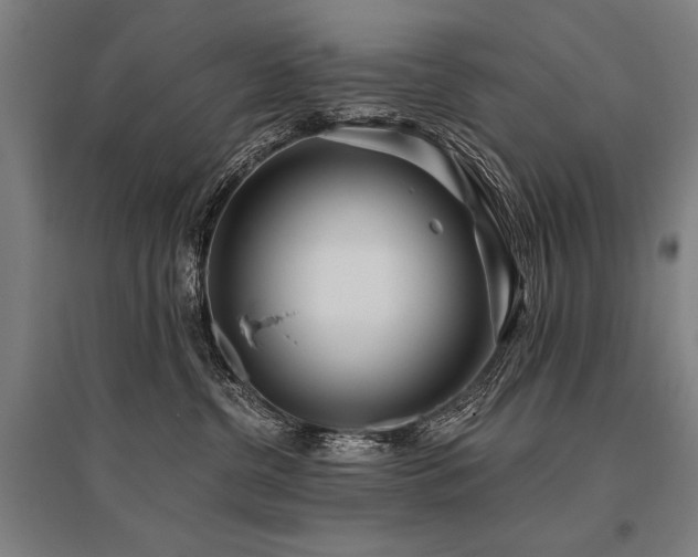 X0000096180380200801181317