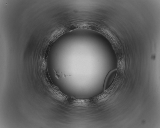 X0000096180381200801181317