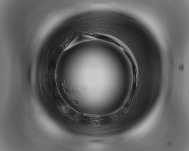 X0000096180382200801181317