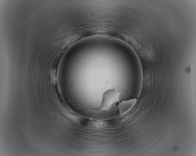 X0000096180383200801181317
