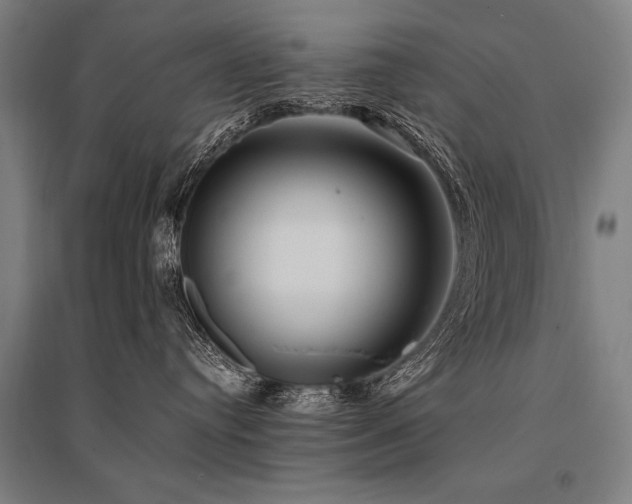 X0000096180384200801181317