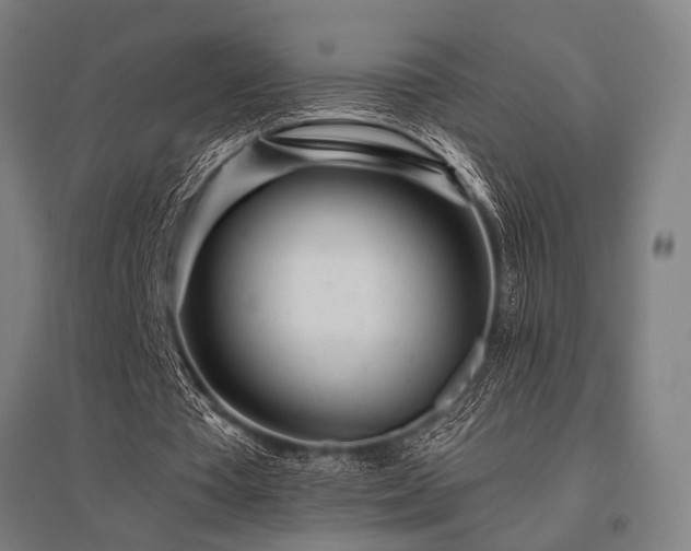 X0000096180385200801181317