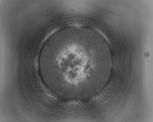 X0000096180386200801181317