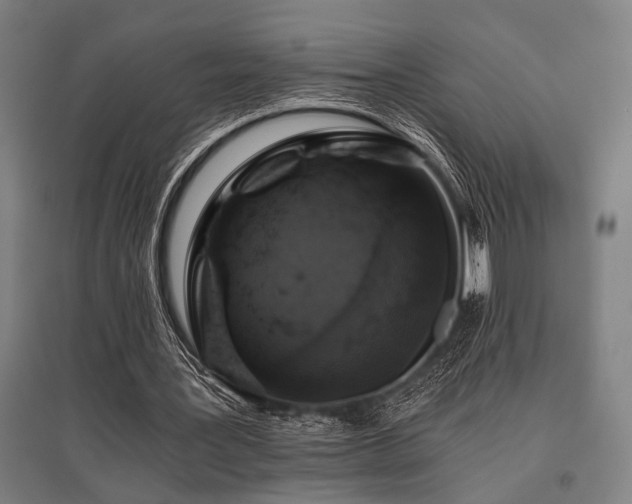 X0000096180387200801181317