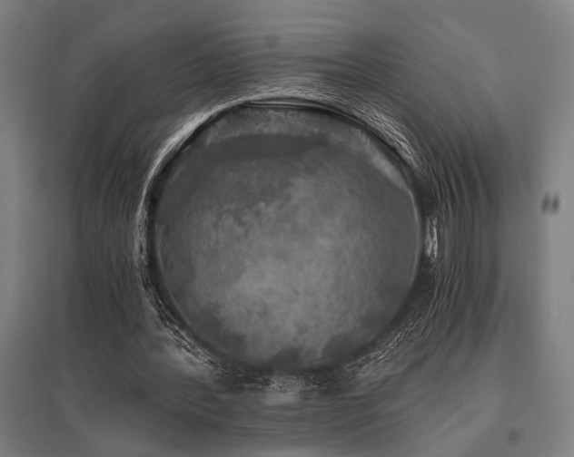 X0000096180388200801181317