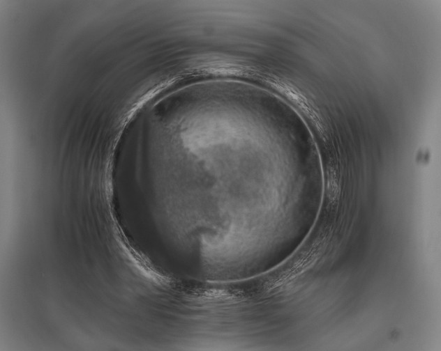 X0000096180390200801181317