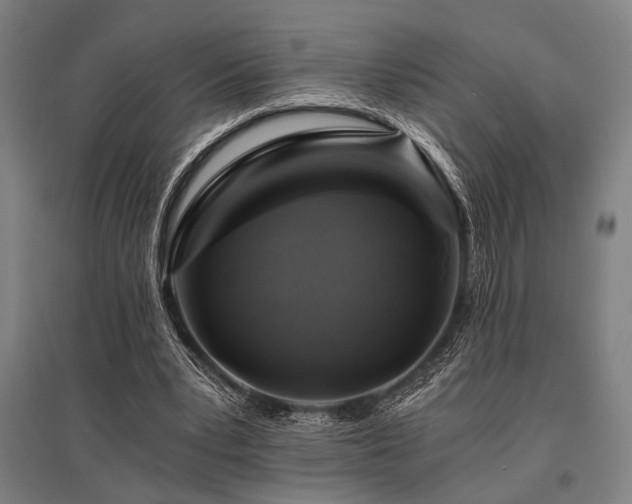 X0000096180391200801181317