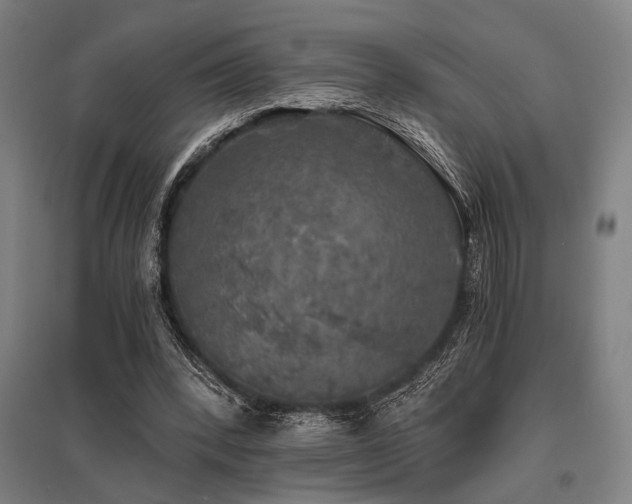 X0000096180392200801181317