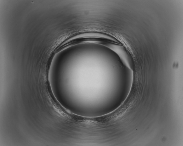 X0000096180393200801181317