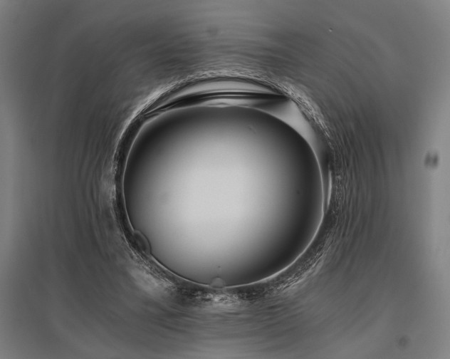 X0000096180395200801181317