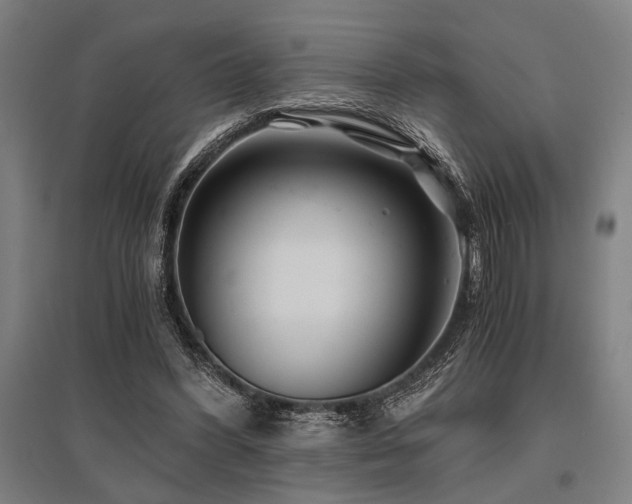 X0000096180396200801181317