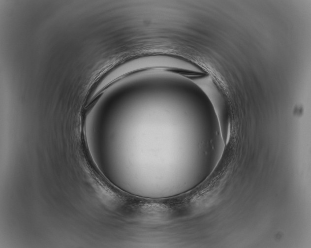 X0000096180397200801181317