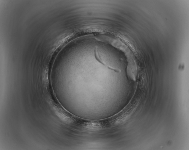 X0000096180398200801181317
