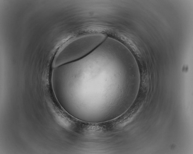 X0000096180399200801181317