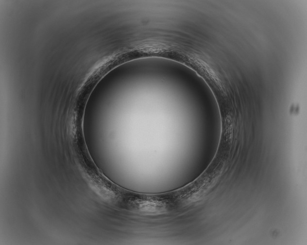 X0000096180400200801181317