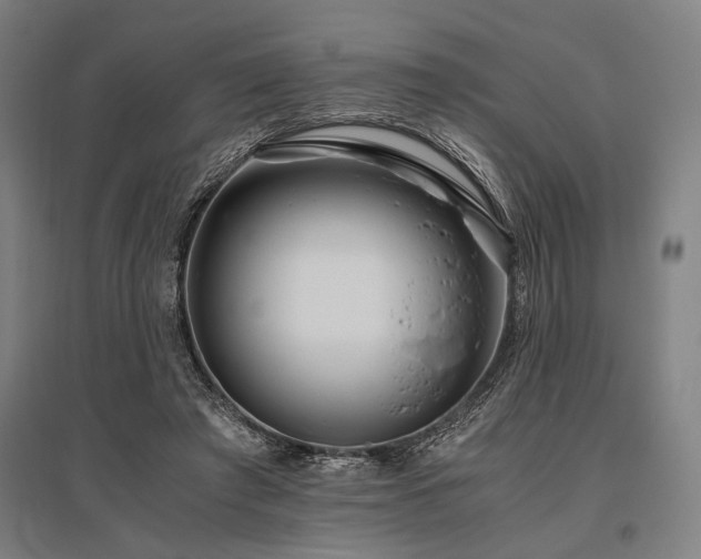 X0000096180401200801181317