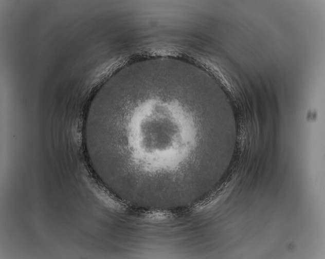 X0000096180402200801181316