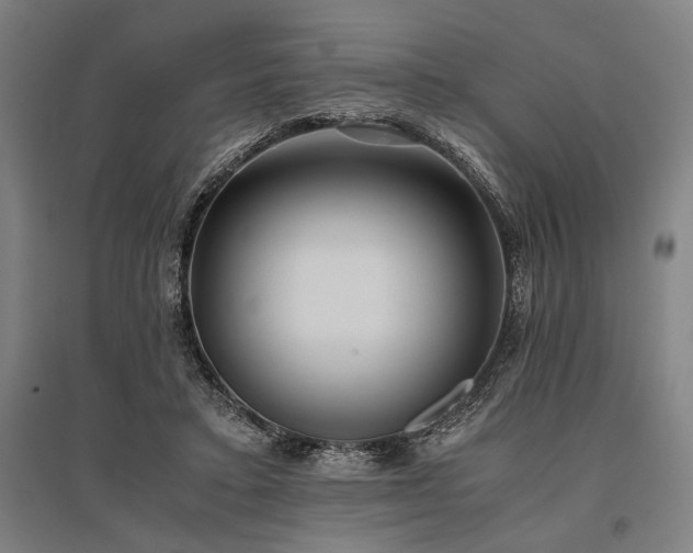 X0000096180403200801181316