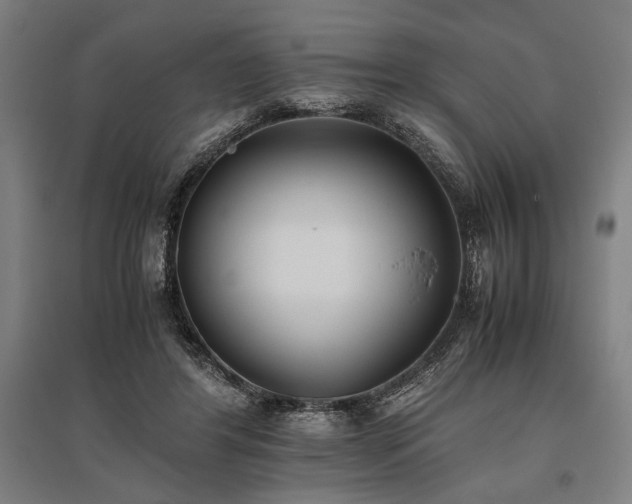 X0000096180404200801181316