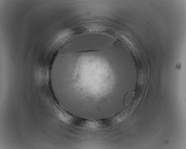 X0000096180405200801181316