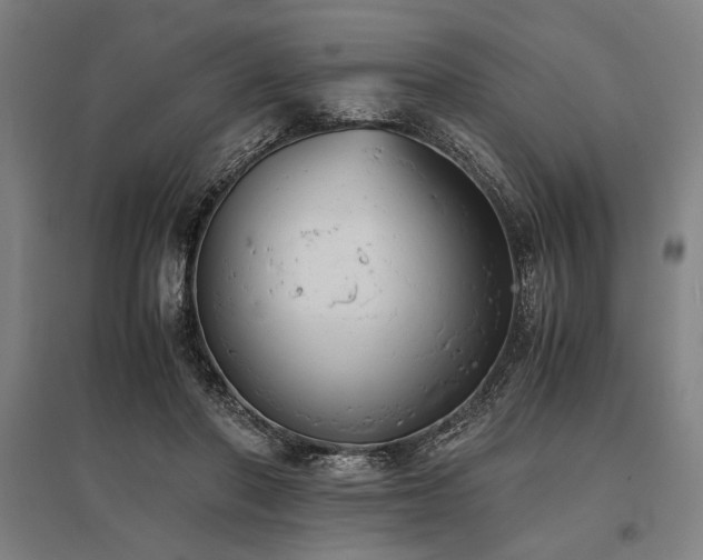 X0000096180406200801181316