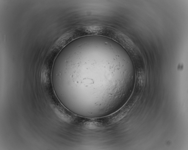 X0000096180408200801181316