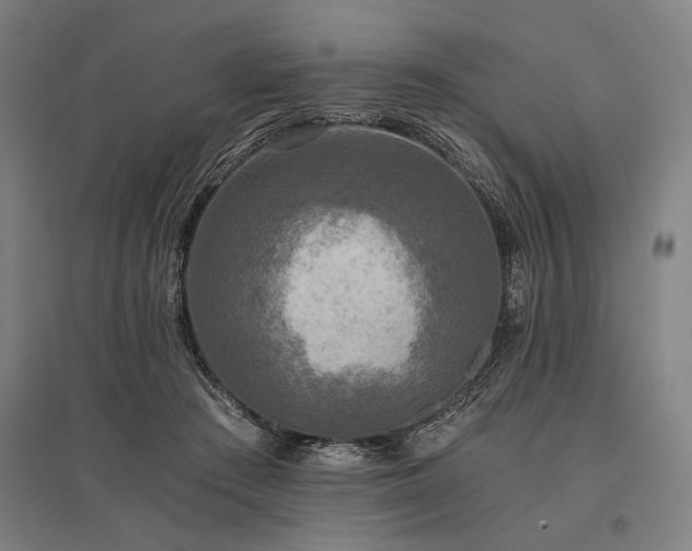 X0000096180409200801181316