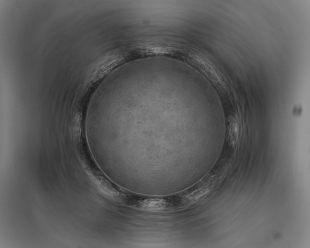 X0000096180410200801181316