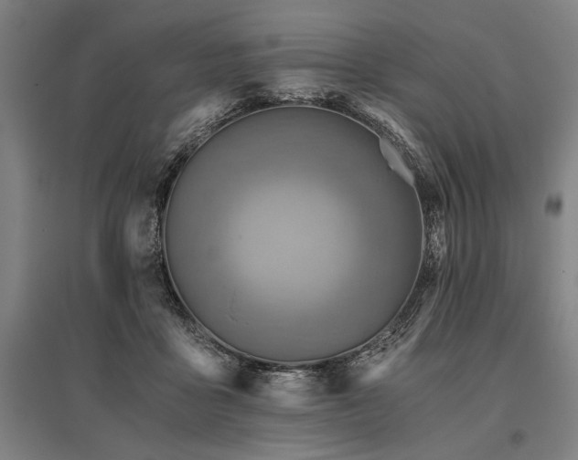 X0000096180411200801181316