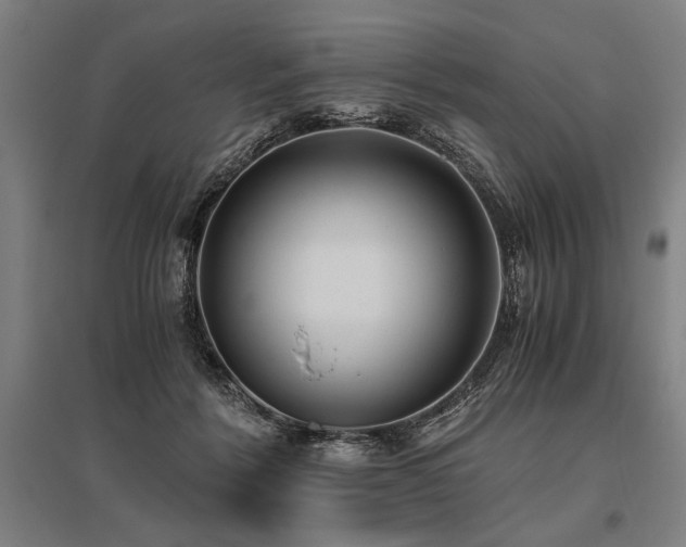 X0000096180412200801181316
