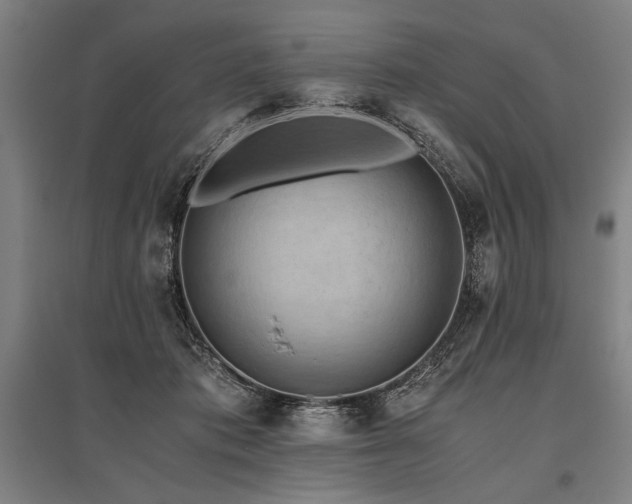 X0000096180413200801181316
