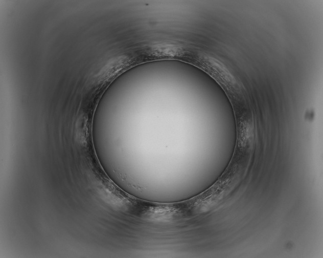X0000096180414200801181316