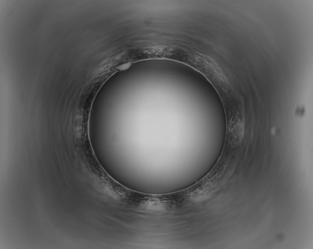 X0000096180416200801181316