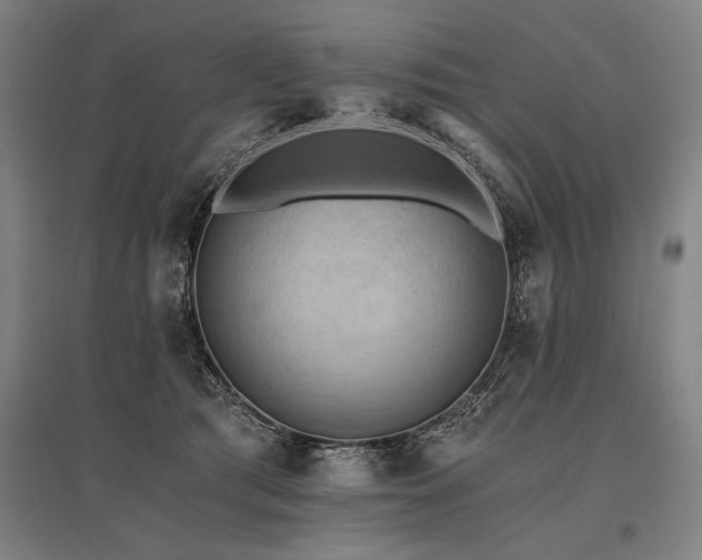X0000096180417200801181316