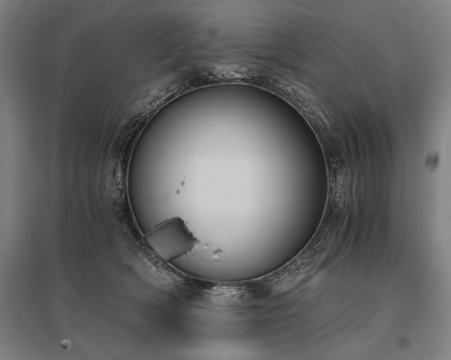 X0000096180418200801181316