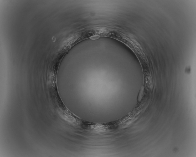 X0000096180419200801181316