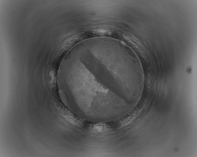 X0000096180420200801181316