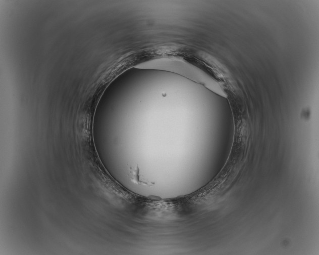 X0000096180421200801181316