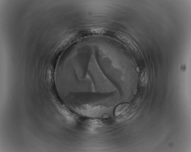 X0000096180424200801181316