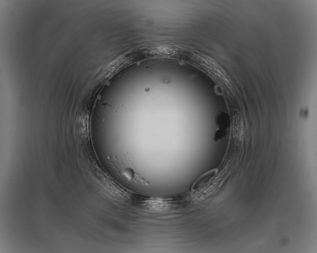 X0000096180425200801181316