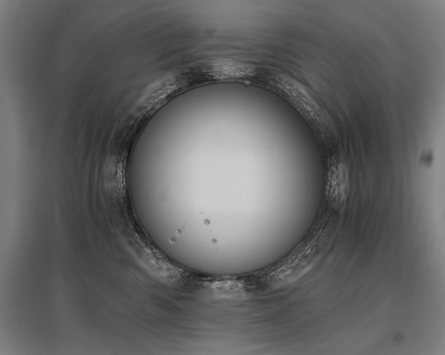 X0000096180426200801181316