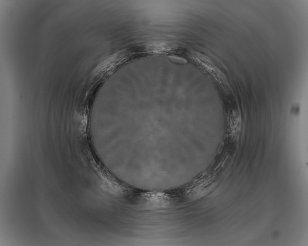 X0000096180427200801181316