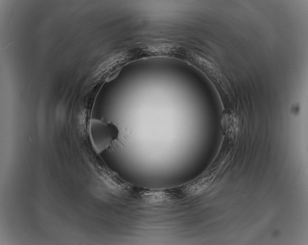 X0000096180428200801181316