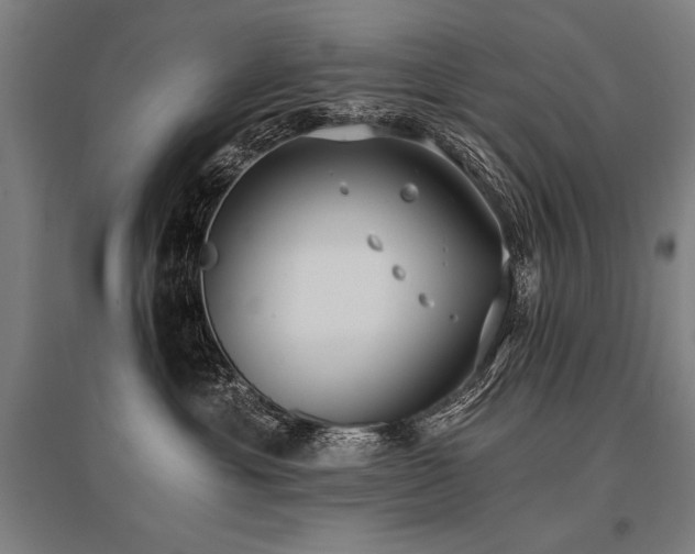 X0000096180429200801181316