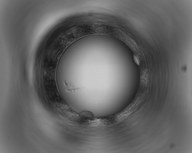 X0000096180430200801181316