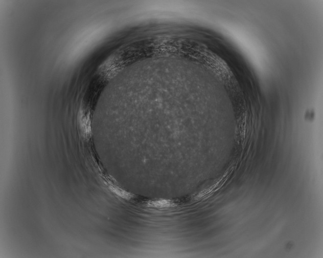X0000096180431200801181316