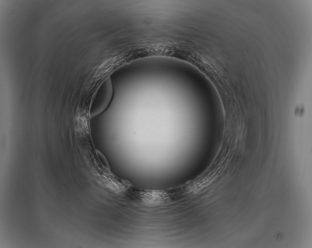 X0000096180432200801181316